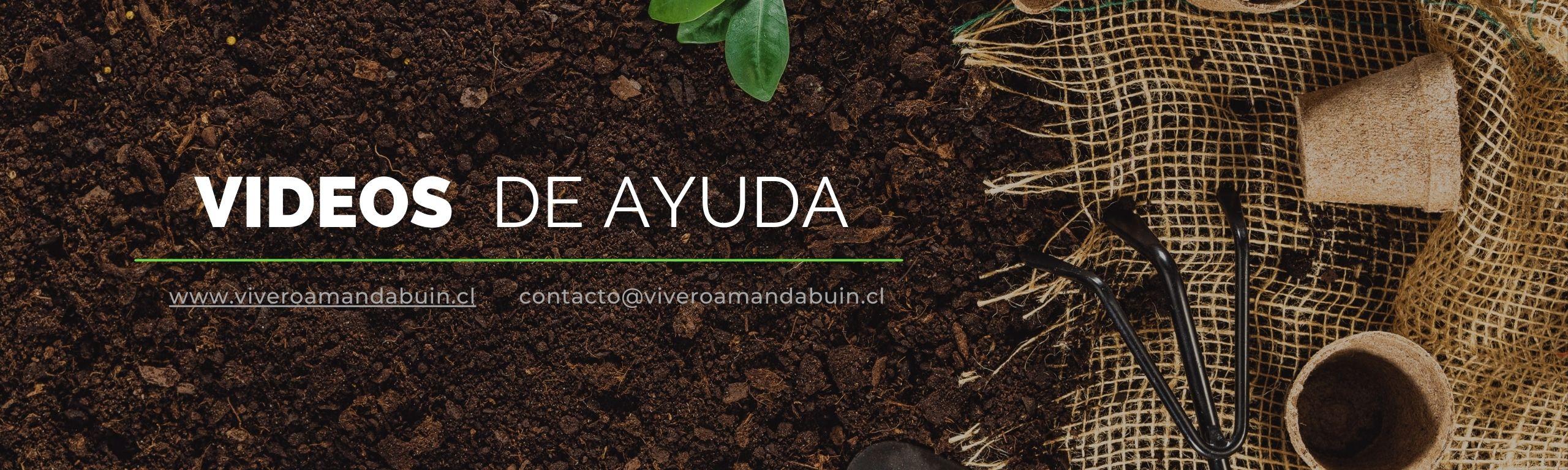 Videos-ayuda-viveroamandabuin